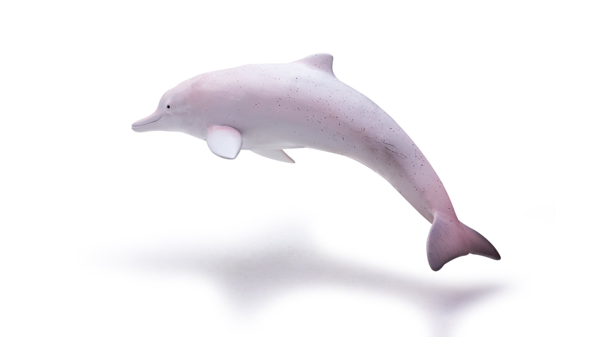 Discover the Magical Unicorn Whale Toy for Endless Fun
